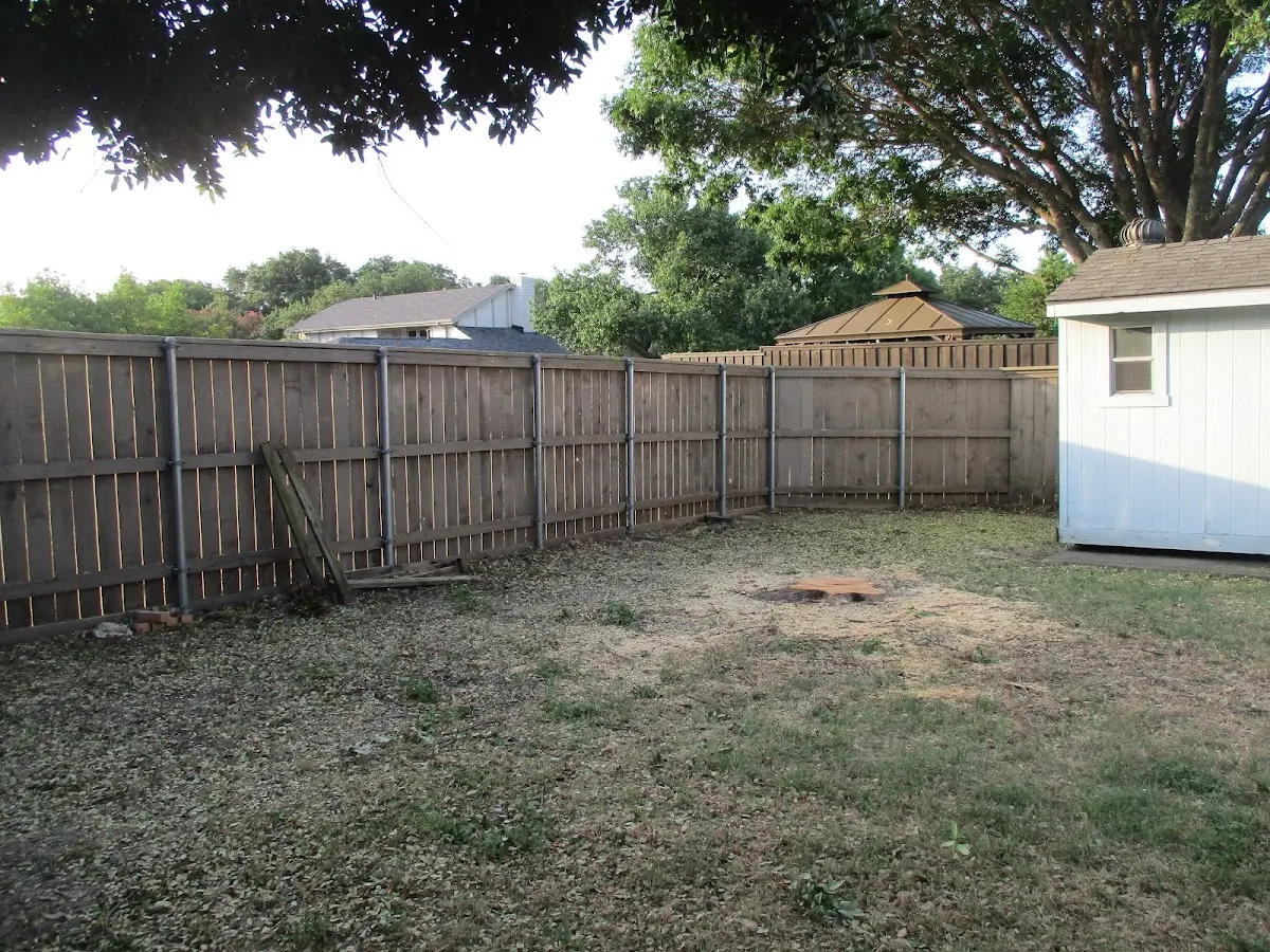 Cleared yard after professional tree removal in West Lebanon
